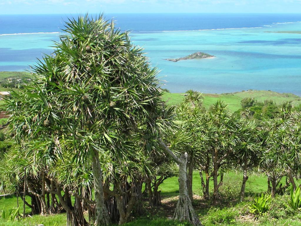 Residence Foulsafat Rodrigues Island Exterior foto